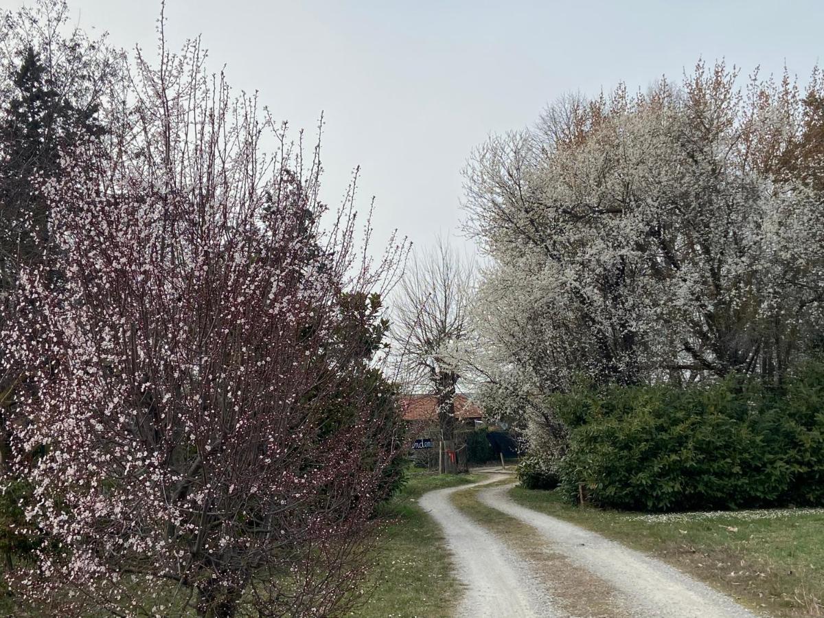 Acero Giallo Parma Zewnętrze zdjęcie