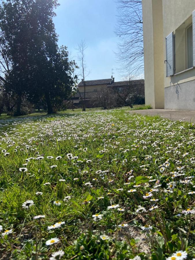 Acero Giallo Parma Zewnętrze zdjęcie